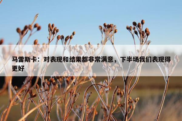 马雷斯卡：对表现和结果都非常满意，下半场我们表现得更好