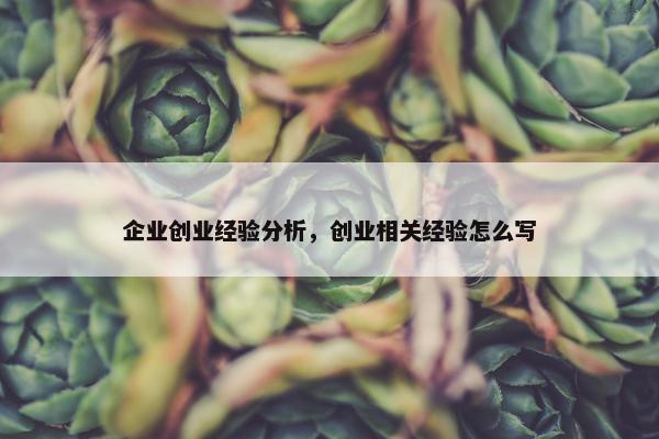 企业创业经验分析，创业相关经验怎么写