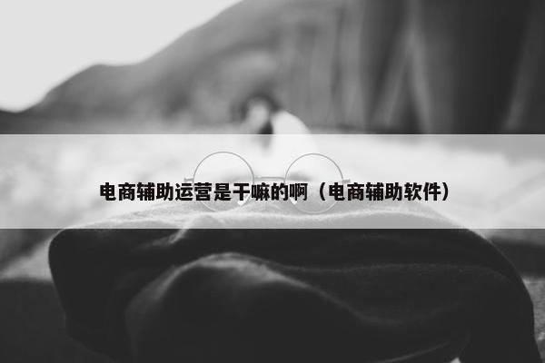 电商辅助运营是干嘛的啊（电商辅助软件）