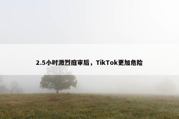 2.5小时激烈庭审后，TikTok更加危险