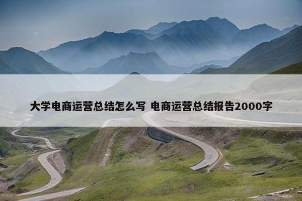 大学电商运营总结怎么写 电商运营总结报告2000字