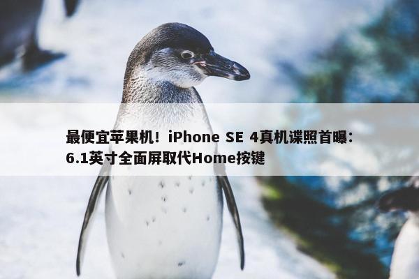 最便宜苹果机！iPhone SE 4真机谍照首曝：6.1英寸全面屏取代Home按键