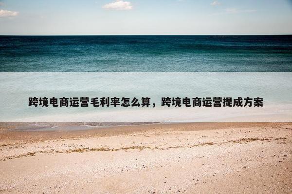 跨境电商运营毛利率怎么算，跨境电商运营提成方案