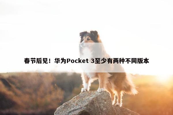 春节后见！华为Pocket 3至少有两种不同版本