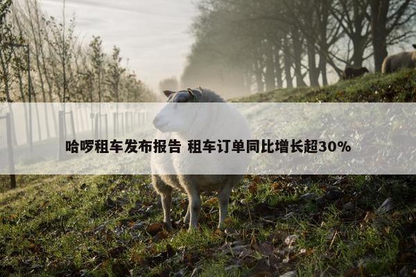 哈啰租车发布报告 租车订单同比增长超30%