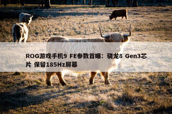 ROG游戏手机9 FE参数首曝：骁龙8 Gen3芯片 保留185Hz屏幕