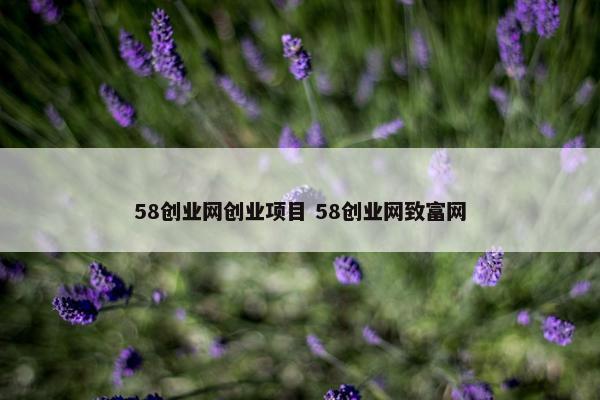 58创业网创业项目 58创业网致富网