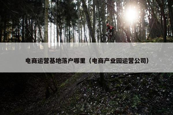 电商运营基地落户哪里（电商产业园运营公司）