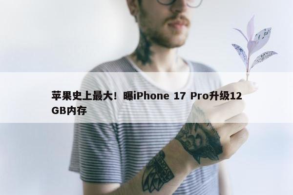 苹果史上最大！曝iPhone 17 Pro升级12GB内存