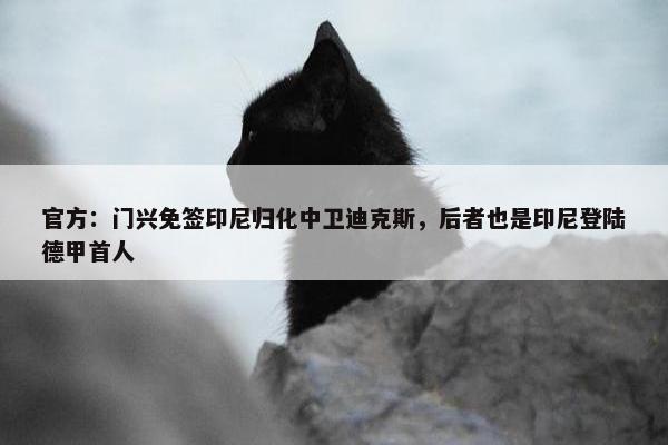 官方：门兴免签印尼归化中卫迪克斯，后者也是印尼登陆德甲首人