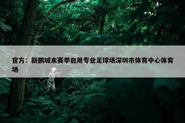 官方：新鹏城本赛季启用专业足球场深圳市体育中心体育场