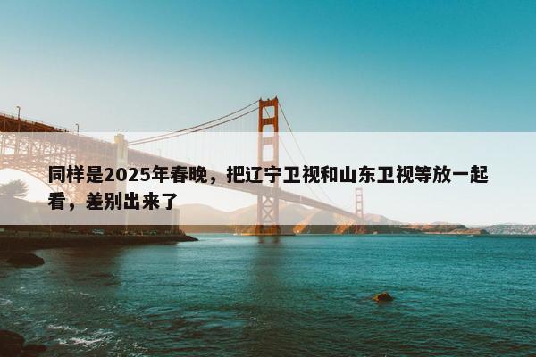 同样是2025年春晚，把辽宁卫视和山东卫视等放一起看，差别出来了