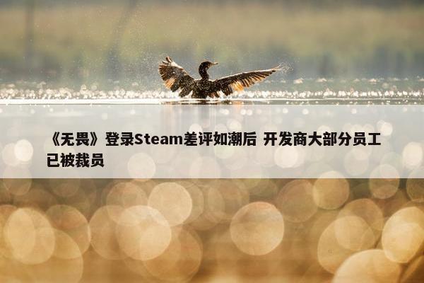 《无畏》登录Steam差评如潮后 开发商大部分员工已被裁员