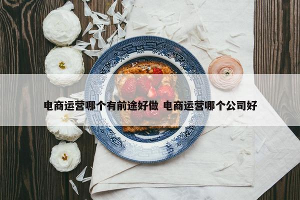 电商运营哪个有前途好做 电商运营哪个公司好