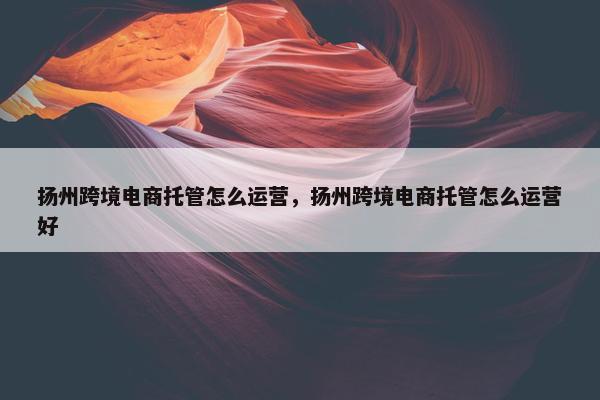 扬州跨境电商托管怎么运营，扬州跨境电商托管怎么运营好