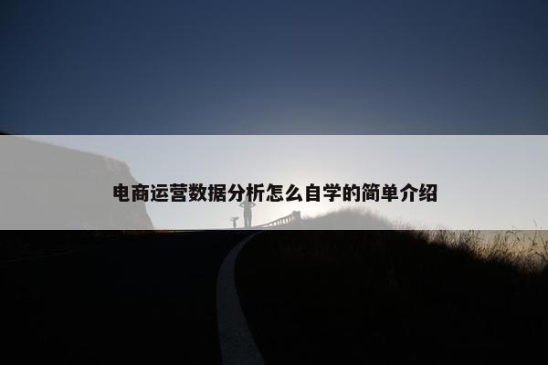 电商运营数据分析怎么自学的简单介绍