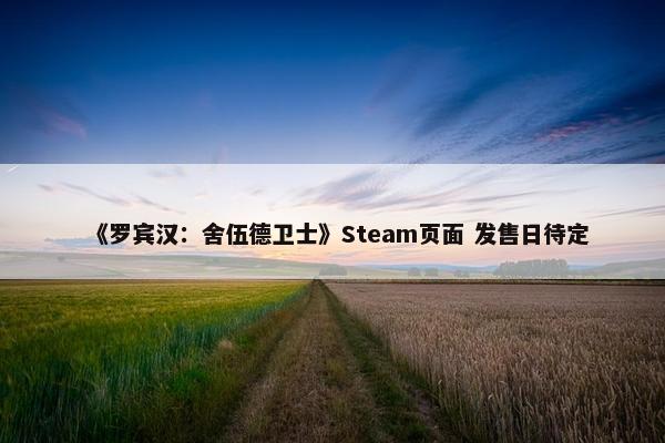 《罗宾汉：舍伍德卫士》Steam页面 发售日待定