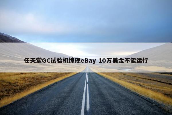 任天堂GC试验机惊现eBay 10万美金不能运行