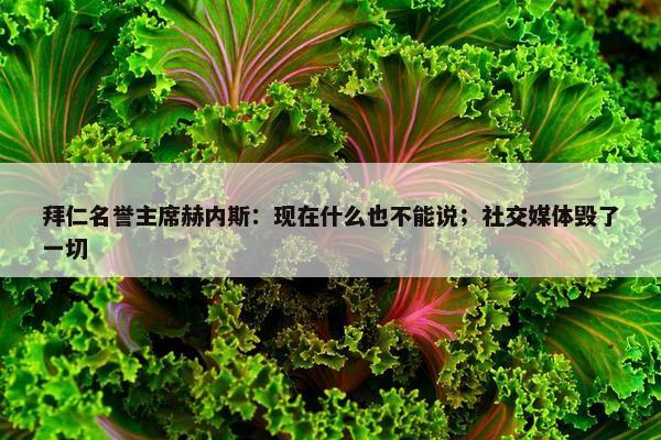 拜仁名誉主席赫内斯：现在什么也不能说；社交媒体毁了一切