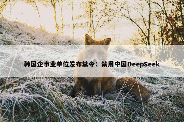 韩国企事业单位发布禁令：禁用中国DeepSeek