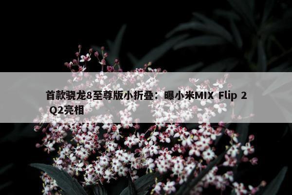 首款骁龙8至尊版小折叠：曝小米MIX Flip 2 Q2亮相