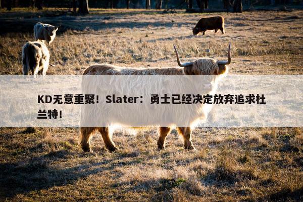 KD无意重聚！Slater：勇士已经决定放弃追求杜兰特！