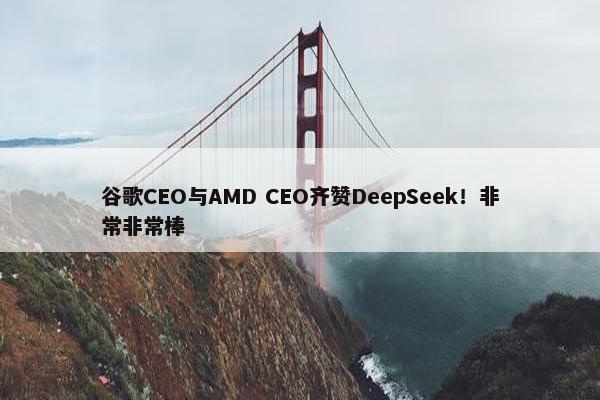 谷歌CEO与AMD CEO齐赞DeepSeek！非常非常棒