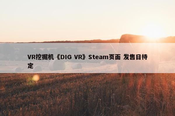 VR挖掘机《DIG VR》Steam页面 发售日待定