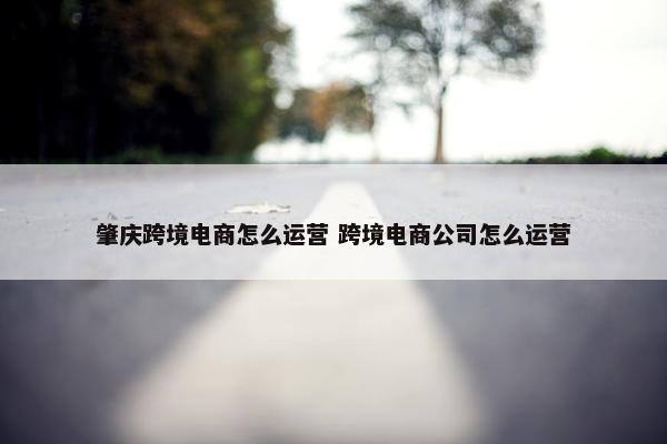 肇庆跨境电商怎么运营 跨境电商公司怎么运营