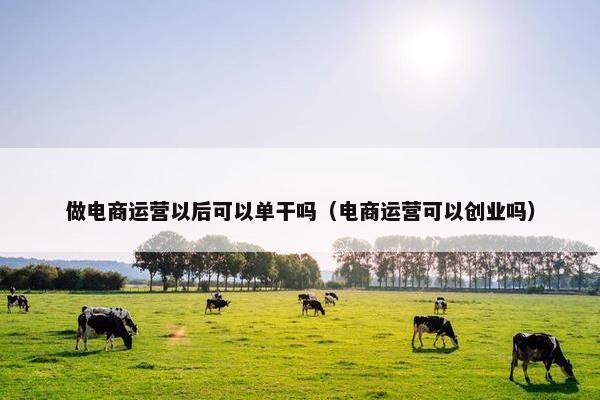 做电商运营以后可以单干吗（电商运营可以创业吗）