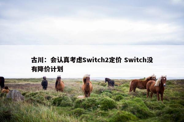 古川：会认真考虑Switch2定价 Switch没有降价计划