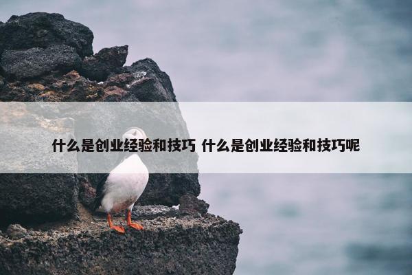 什么是创业经验和技巧 什么是创业经验和技巧呢