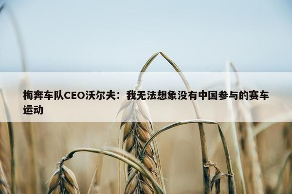 梅奔车队CEO沃尔夫：我无法想象没有中国参与的赛车运动