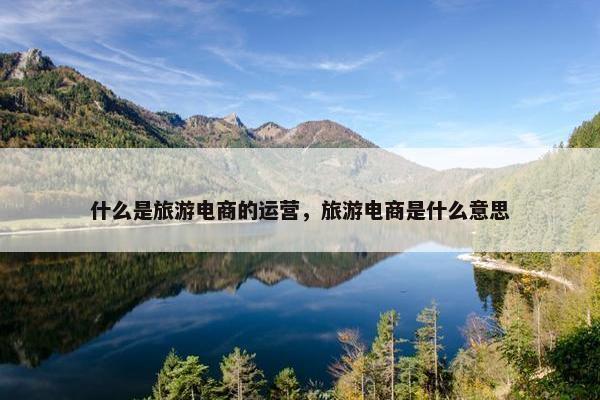 什么是旅游电商的运营，旅游电商是什么意思