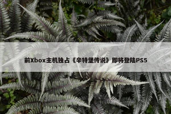 前Xbox主机独占《辛特堡传说》即将登陆PS5