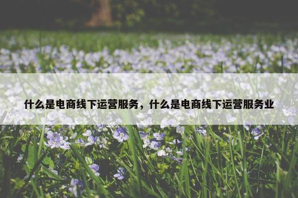 什么是电商线下运营服务，什么是电商线下运营服务业