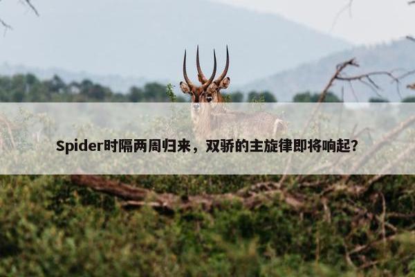 Spider时隔两周归来，双骄的主旋律即将响起？