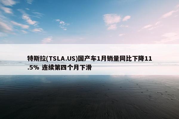 特斯拉(TSLA.US)国产车1月销量同比下降11.5% 连续第四个月下滑