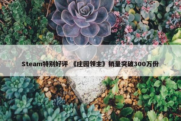 Steam特别好评 《庄园领主》销量突破300万份