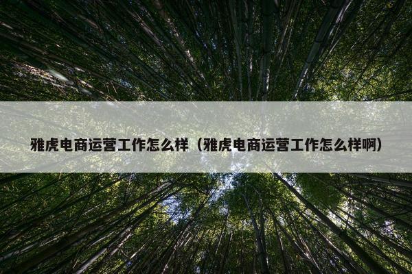 雅虎电商运营工作怎么样（雅虎电商运营工作怎么样啊）