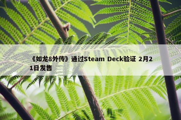 《如龙8外传》通过Steam Deck验证 2月21日发售