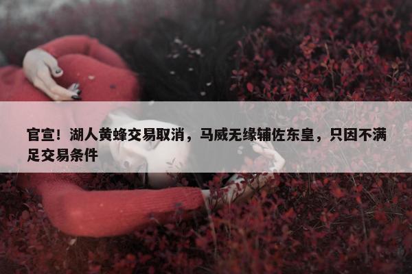 官宣！湖人黄蜂交易取消，马威无缘辅佐东皇，只因不满足交易条件