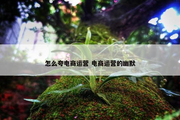 怎么夸电商运营 电商运营的幽默