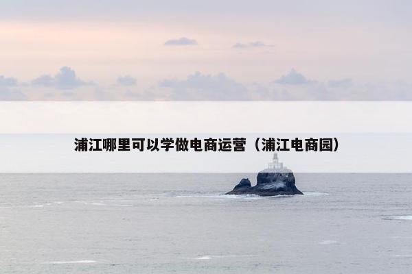 浦江哪里可以学做电商运营（浦江电商园）