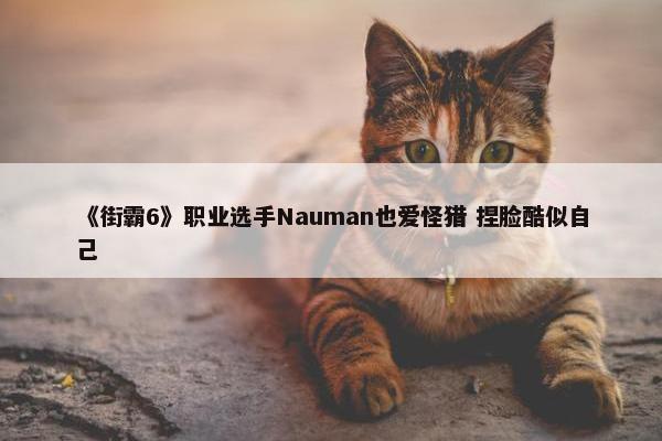 《街霸6》职业选手Nauman也爱怪猎 捏脸酷似自己