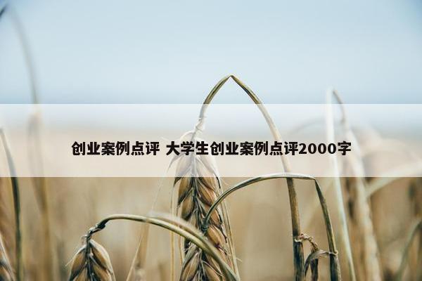 创业案例点评 大学生创业案例点评2000字