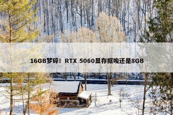 16GB梦碎！RTX 5060显存抠唆还是8GB