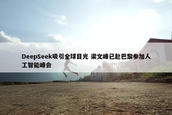 DeepSeek吸引全球目光 梁文峰已赴巴黎参加人工智能峰会