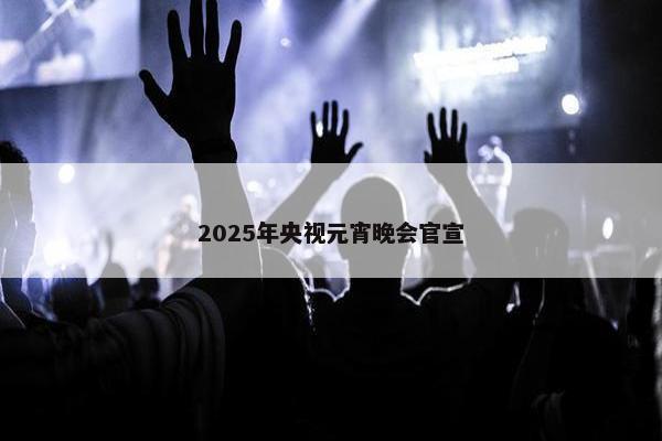 2025年央视元宵晚会官宣