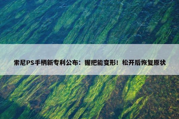 索尼PS手柄新专利公布：握把能变形！松开后恢复原状